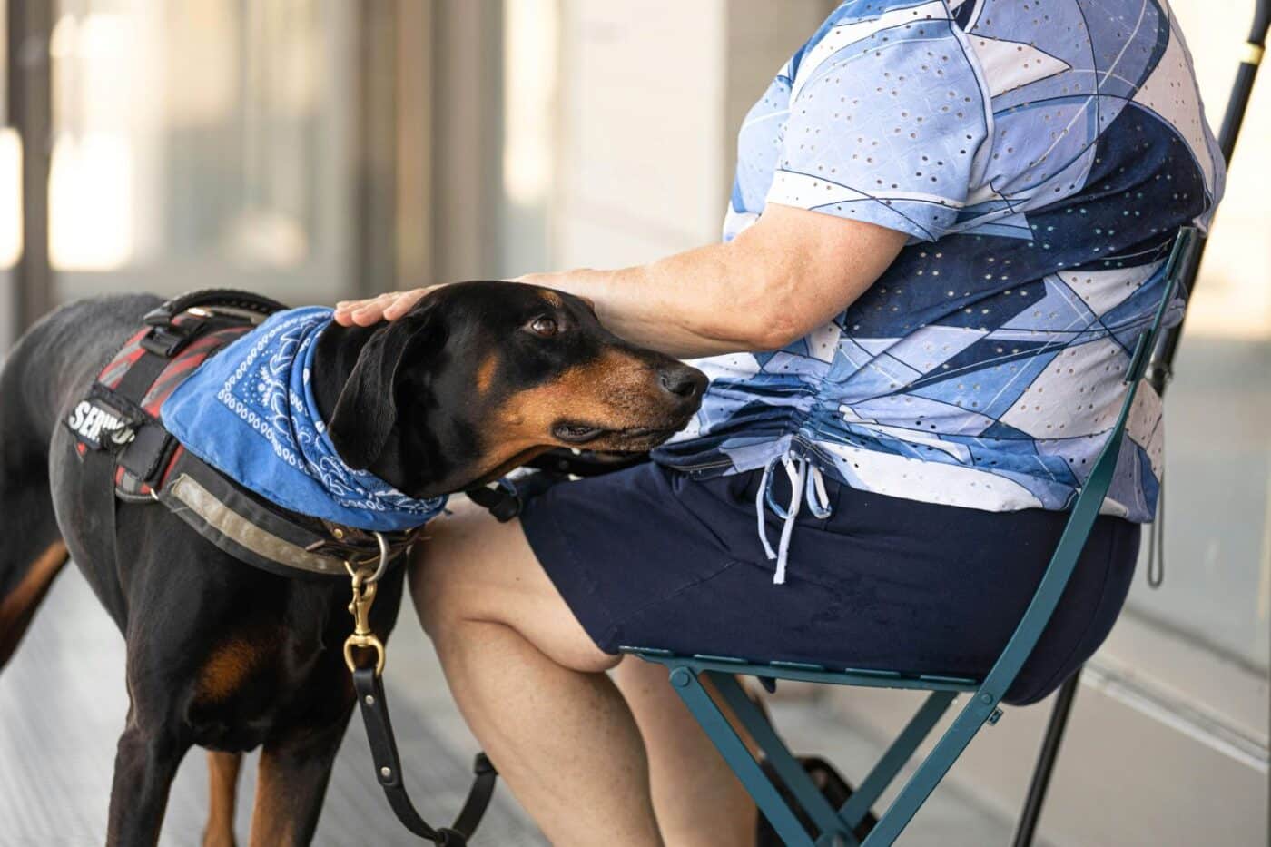 how to train a service dog