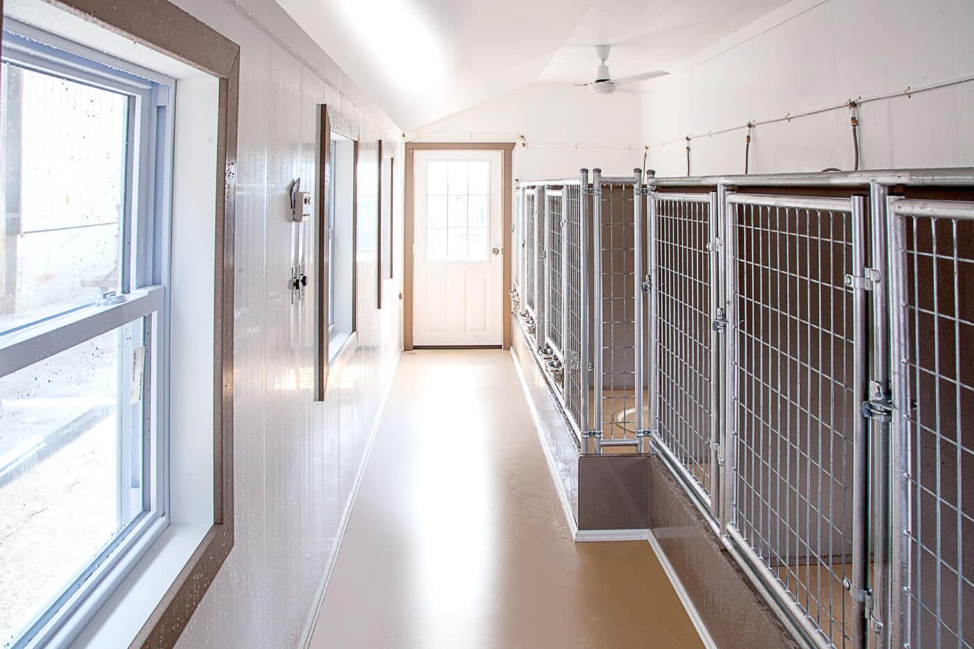 interior of commercial dog kennel with multiple chain link kennels and easy to clean epoxy flooring