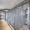 John-Fisher-Londonvale-rd-Gordonville_14x40-6-run_016 14x40 6-Run Commercial Kennel