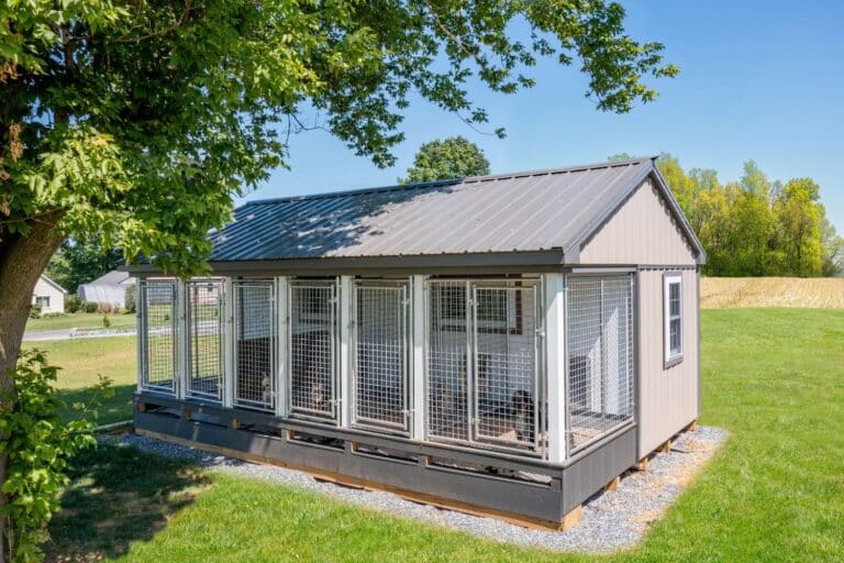 kennels for dog training business