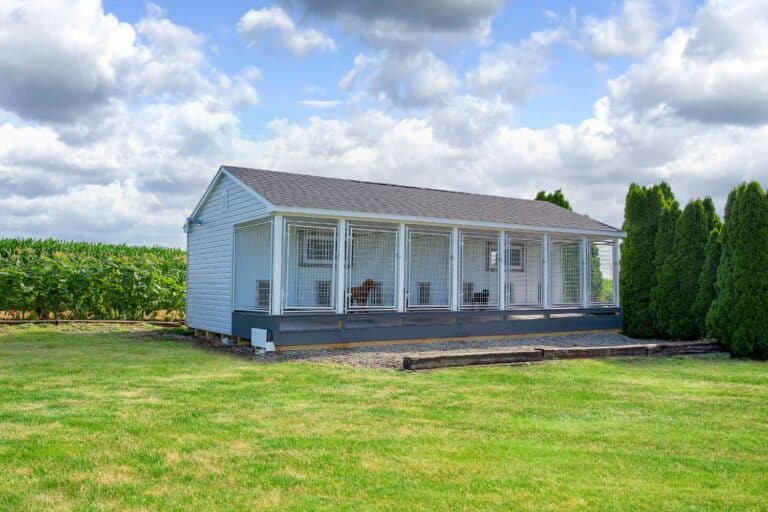 luxury dog kennels for sale in philadelphia