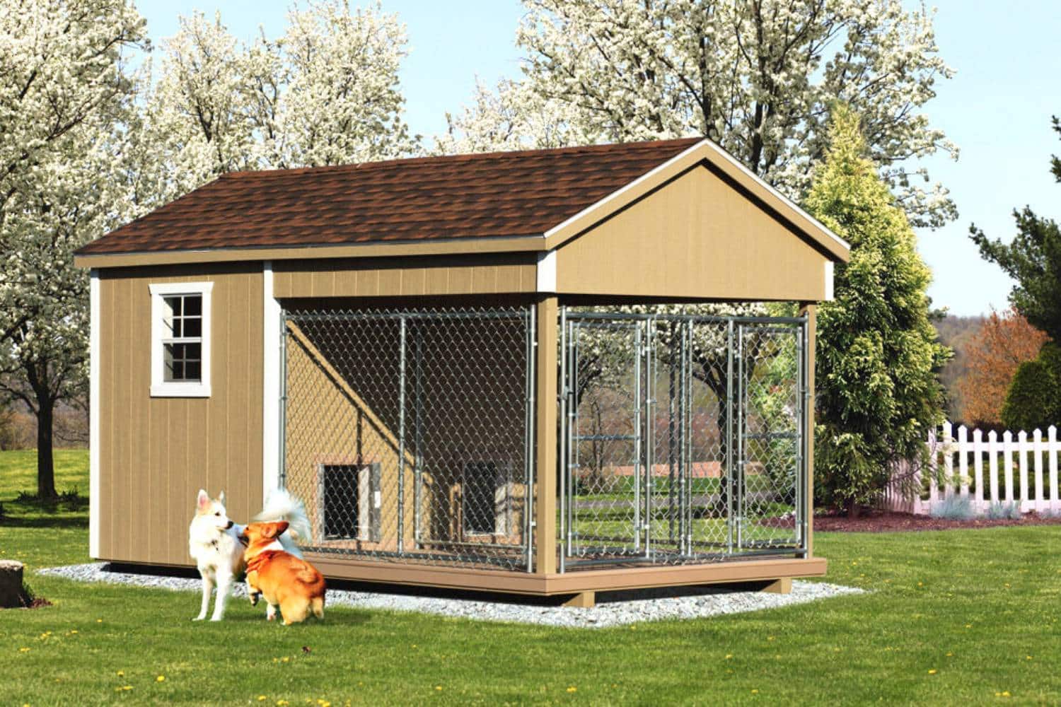 Two dogs outside a dog kennel