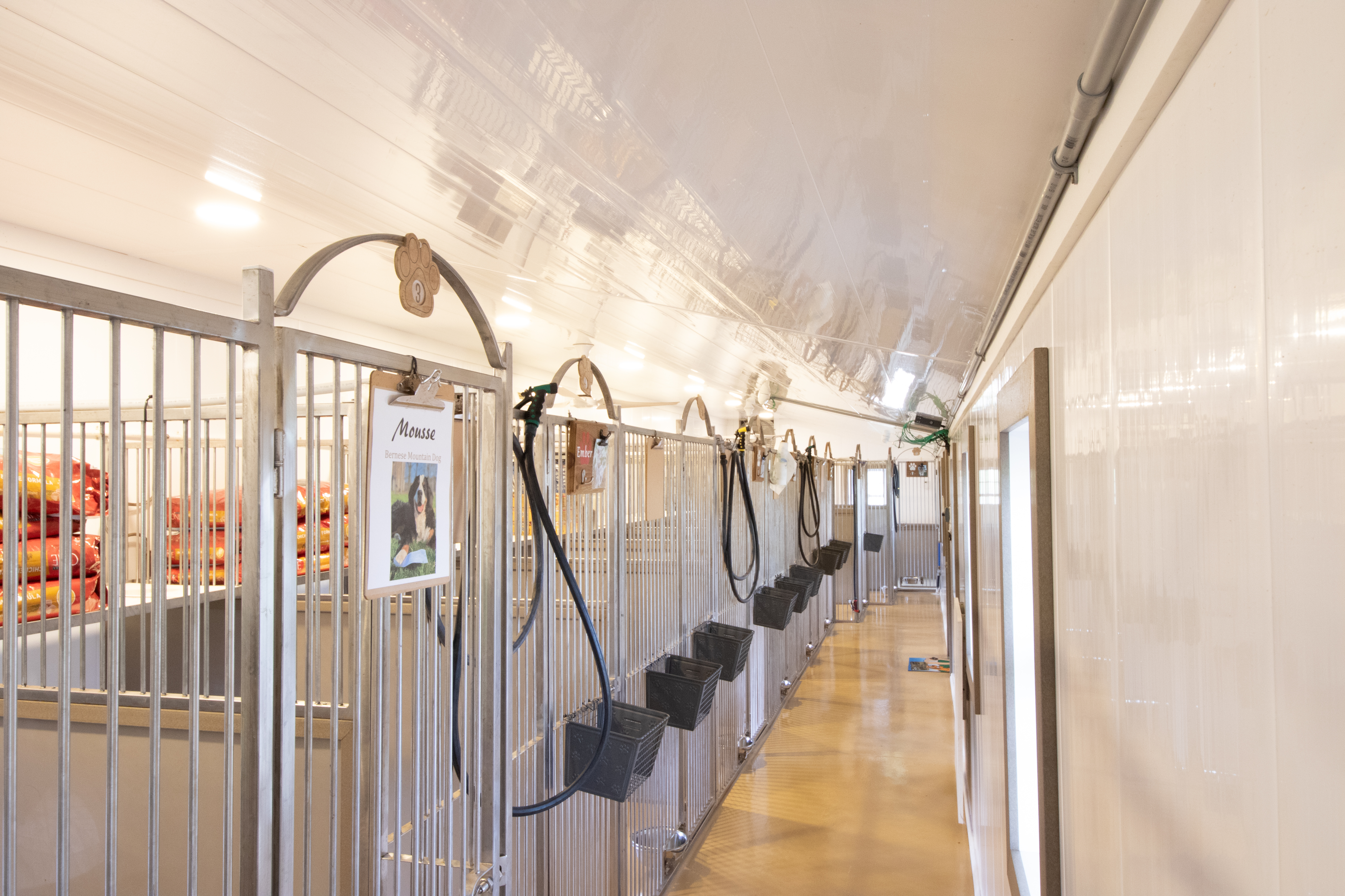 multiple kennels inside a dog boarding business