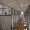 24x60-dog-kennel-interior 24x60-dog-kennel-interior