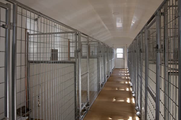 24x60-dog-kennel-interior 24x60-dog-kennel-interior