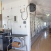 14x44 10-Run Commercial Kennel