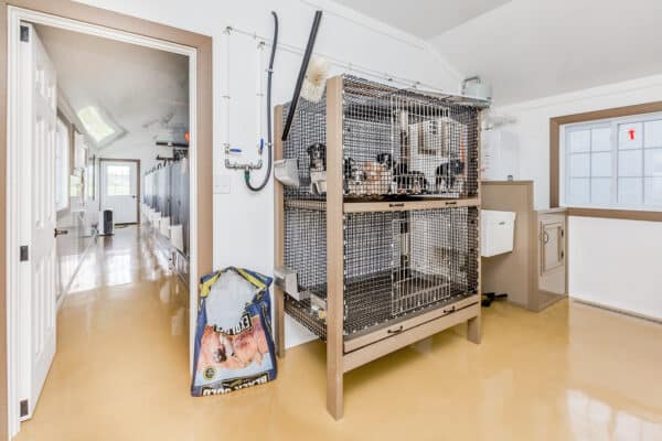 15x40 8-Run Commercial Kennel
