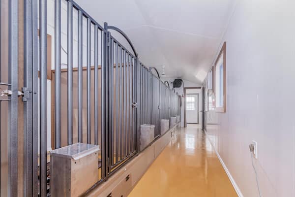 15x40 8-Run Commercial Kennel