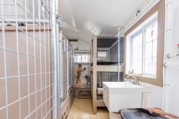 15x32 8-Run Commercial Kennel