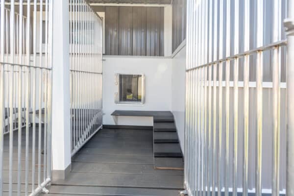 20x40 7-Run Commercial Kennel