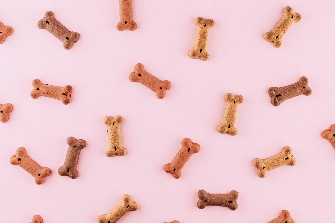 Puppy treat ideas