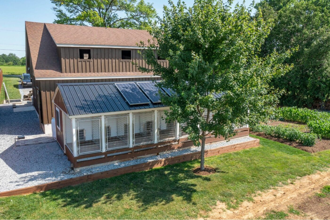 Quality Dog Kennel Roof Ideas