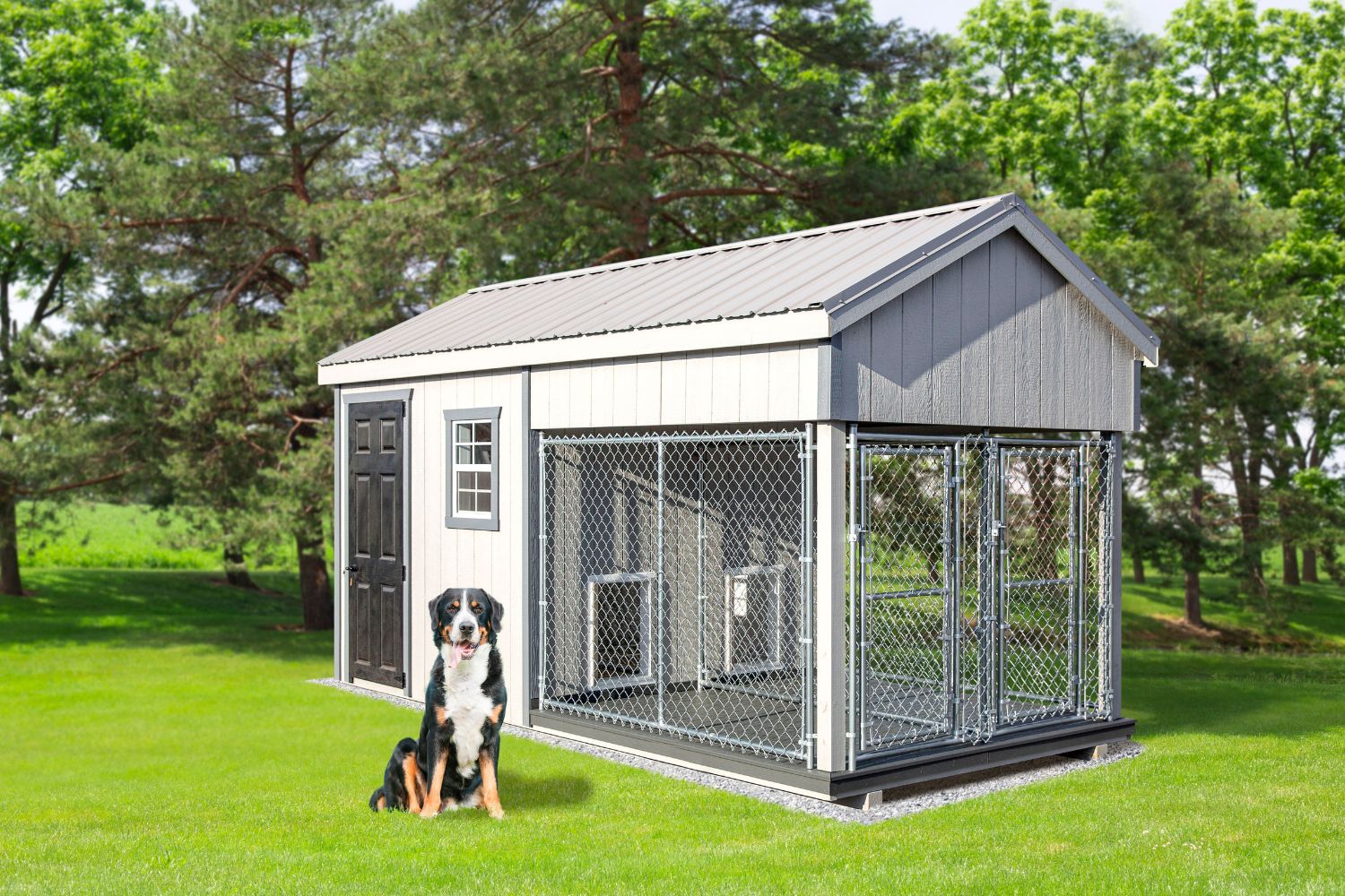 Residential Dog Kennels for Sale in Scranton PA
