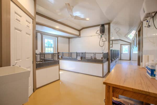 23x60 9-Run Dog Commercial Kennel With An Office