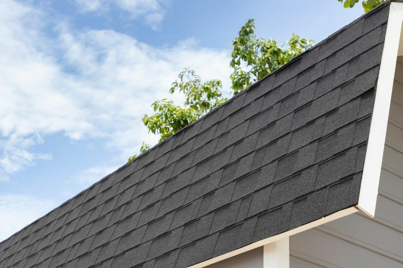 Shingle Dog Kennel Roof Ideas