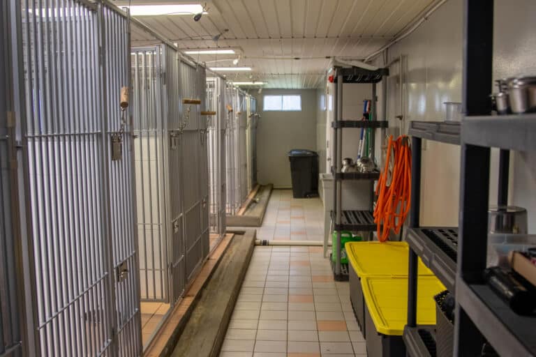 Skyline Kennels Dog Kennel Panel Replacement in Connecticut
