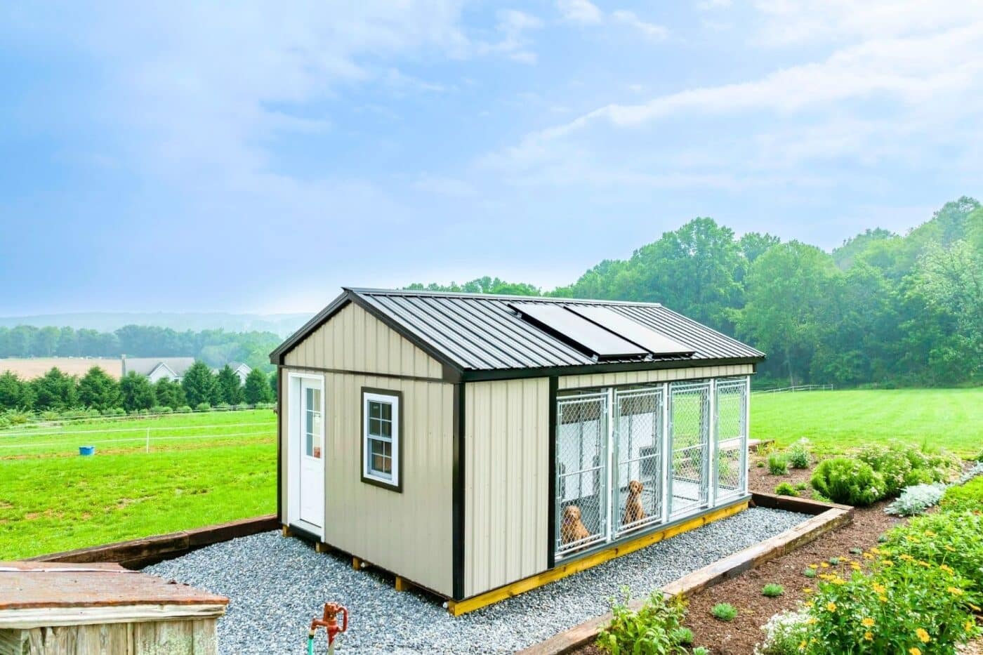 small dog kennels in arkansas