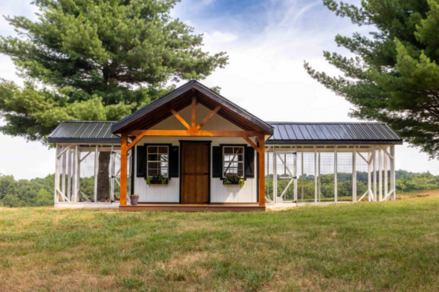 Chicken Coop on a hill from Hen House Collection