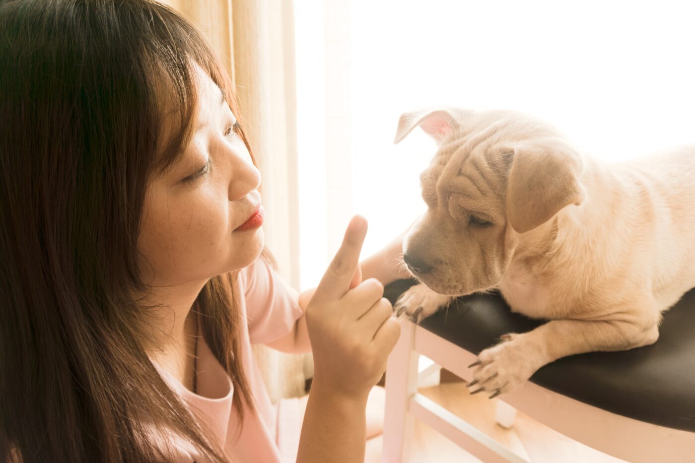 woman Training a new puppy