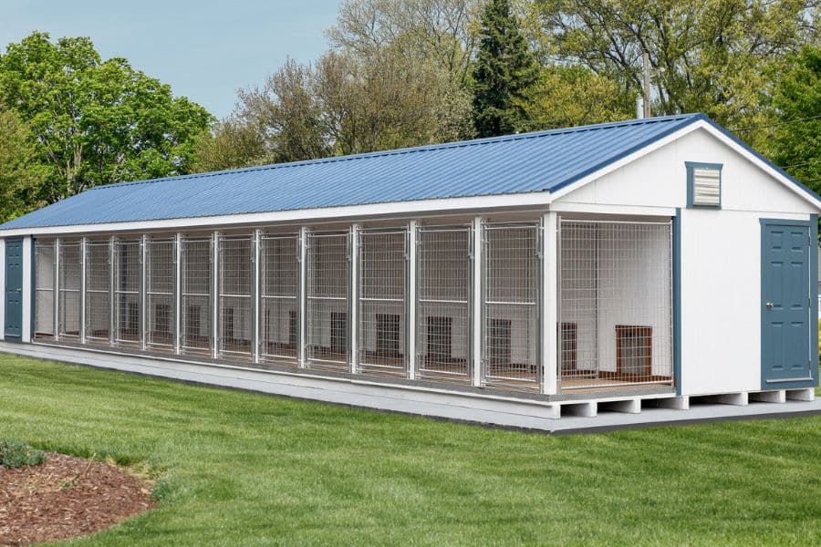 white dog kennels for sale in Missoula MT with 12 runs and blue roof