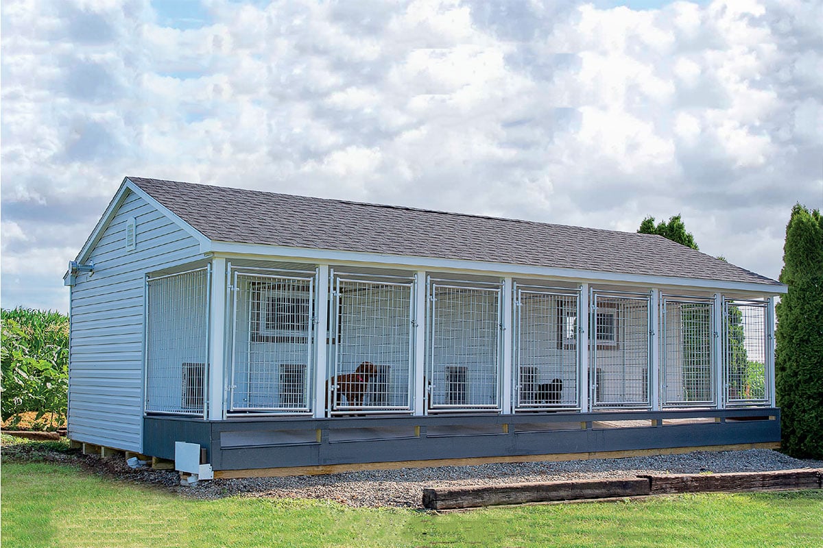 white outdoor dog kennels with seven runs