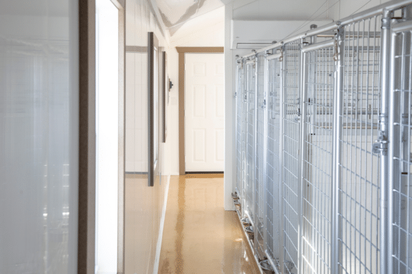 12×32 6-Run Commercial Kennel 12x32 6-Run Commercial Kennel