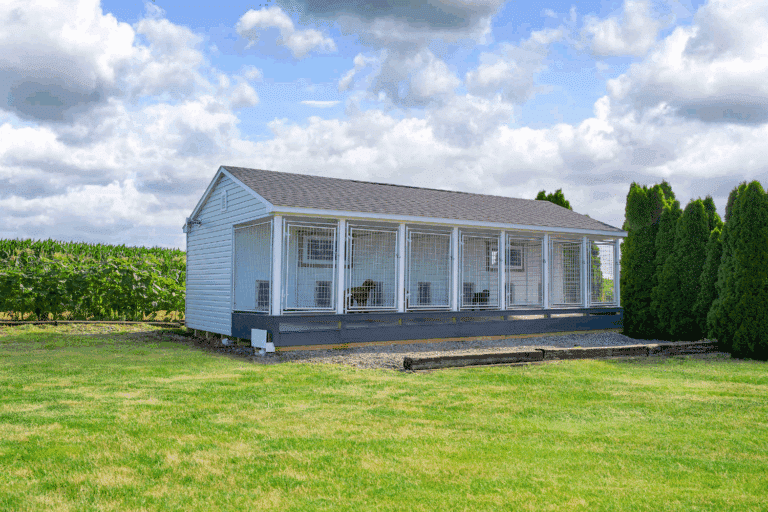 white 14x28 kennel with 6 runs for kennel business in rhode island