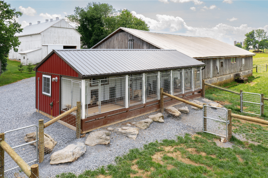 15x32 red commercial dog kennel with black metal roofing and 7 runs