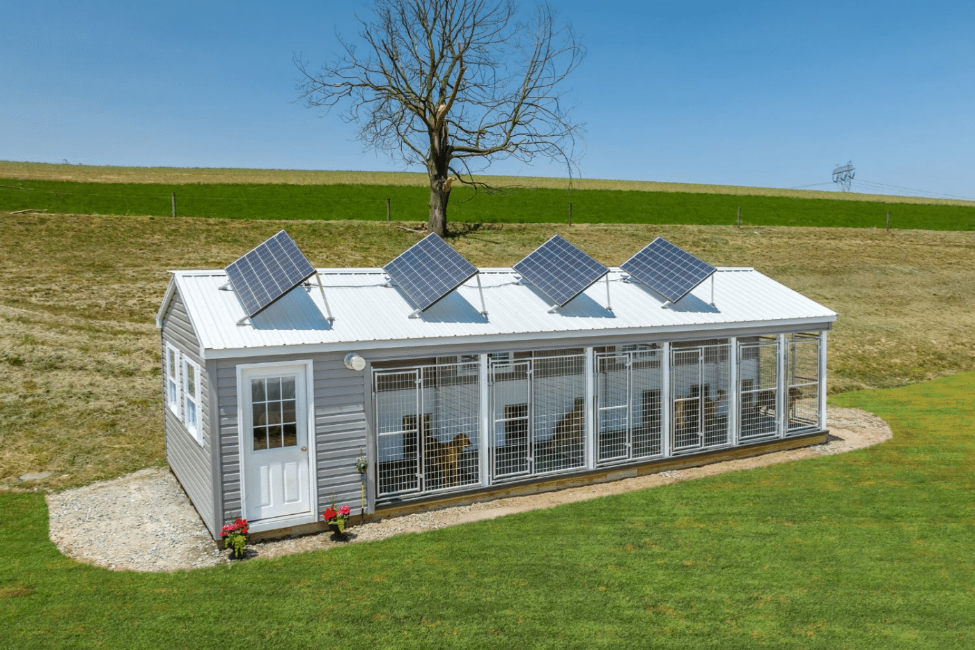 commercial dog kennel with solar panels and dog kennel accessories