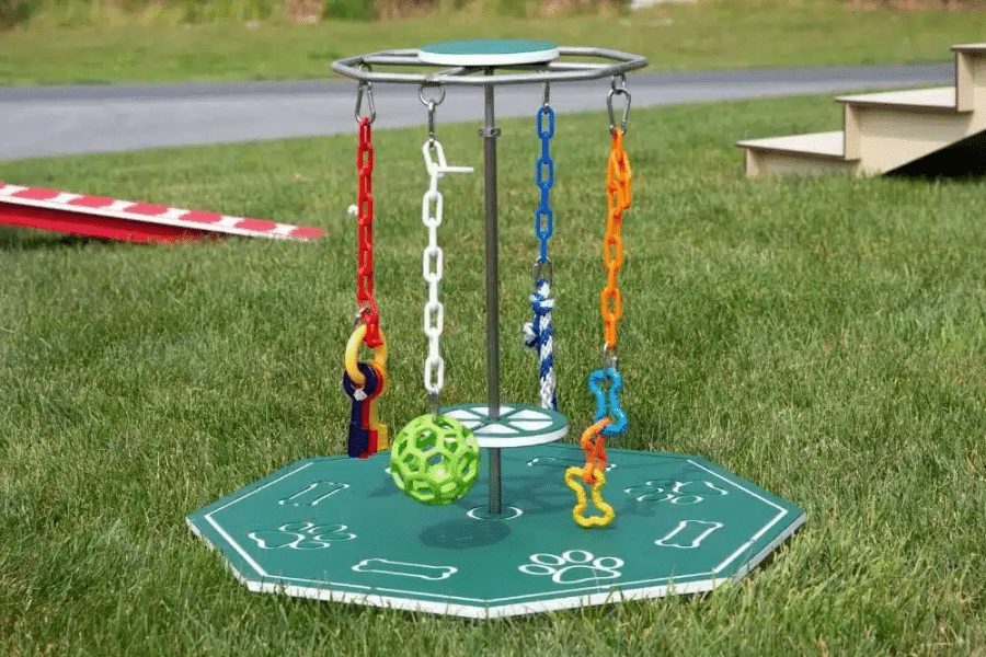 dog agility equipment