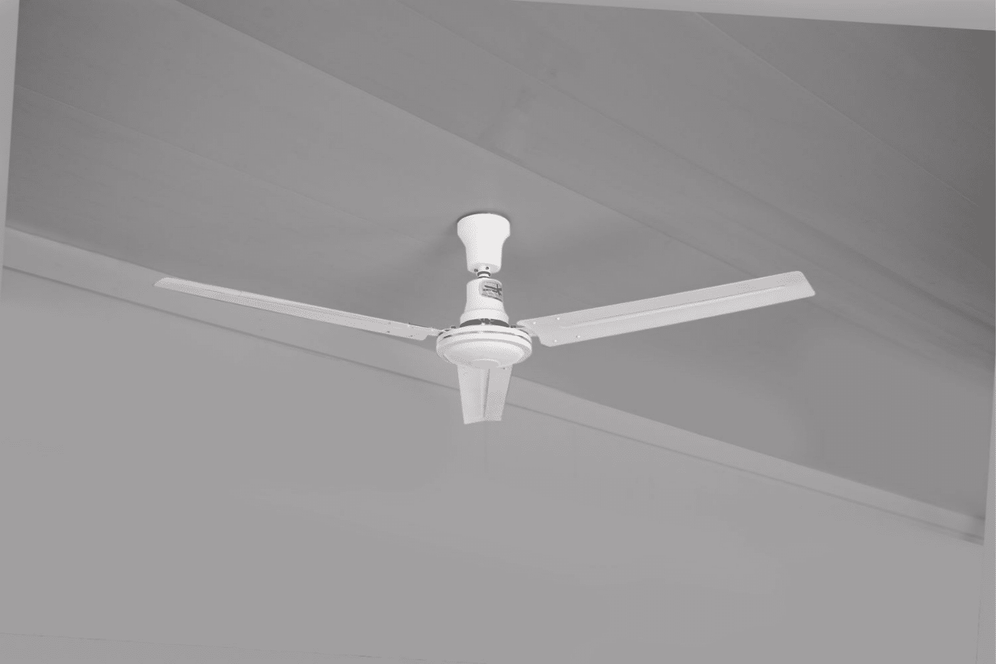 dog ceiling fan dog kennel accessories