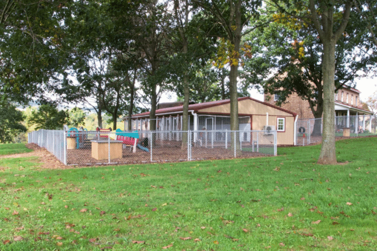 dog daycare business beside residential property