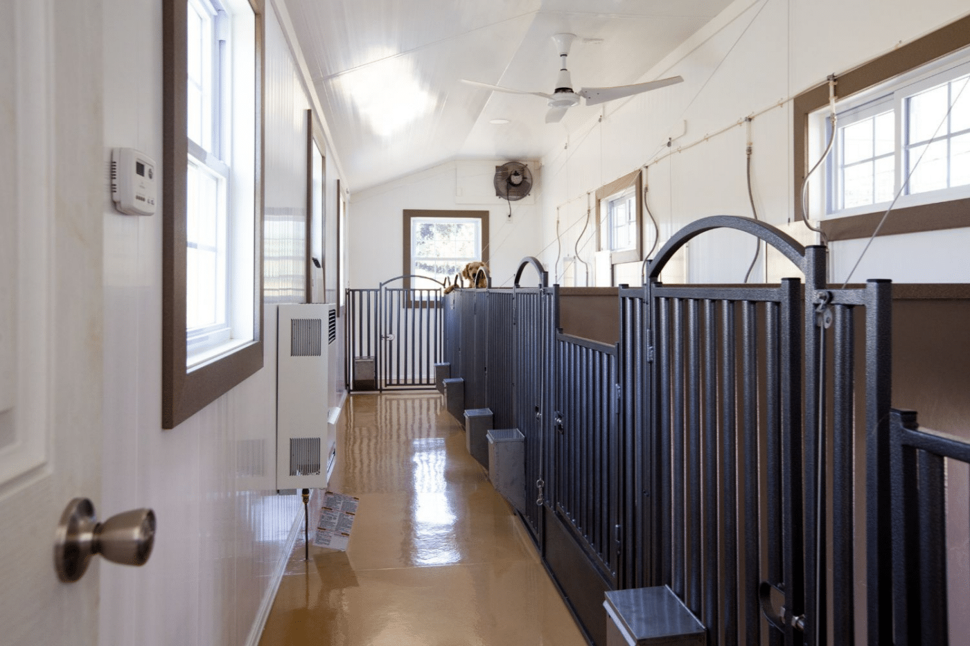 dog kennel accessories in commercial kennel