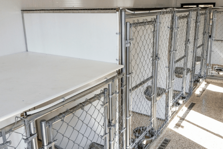 dog kennel grooming business holding area