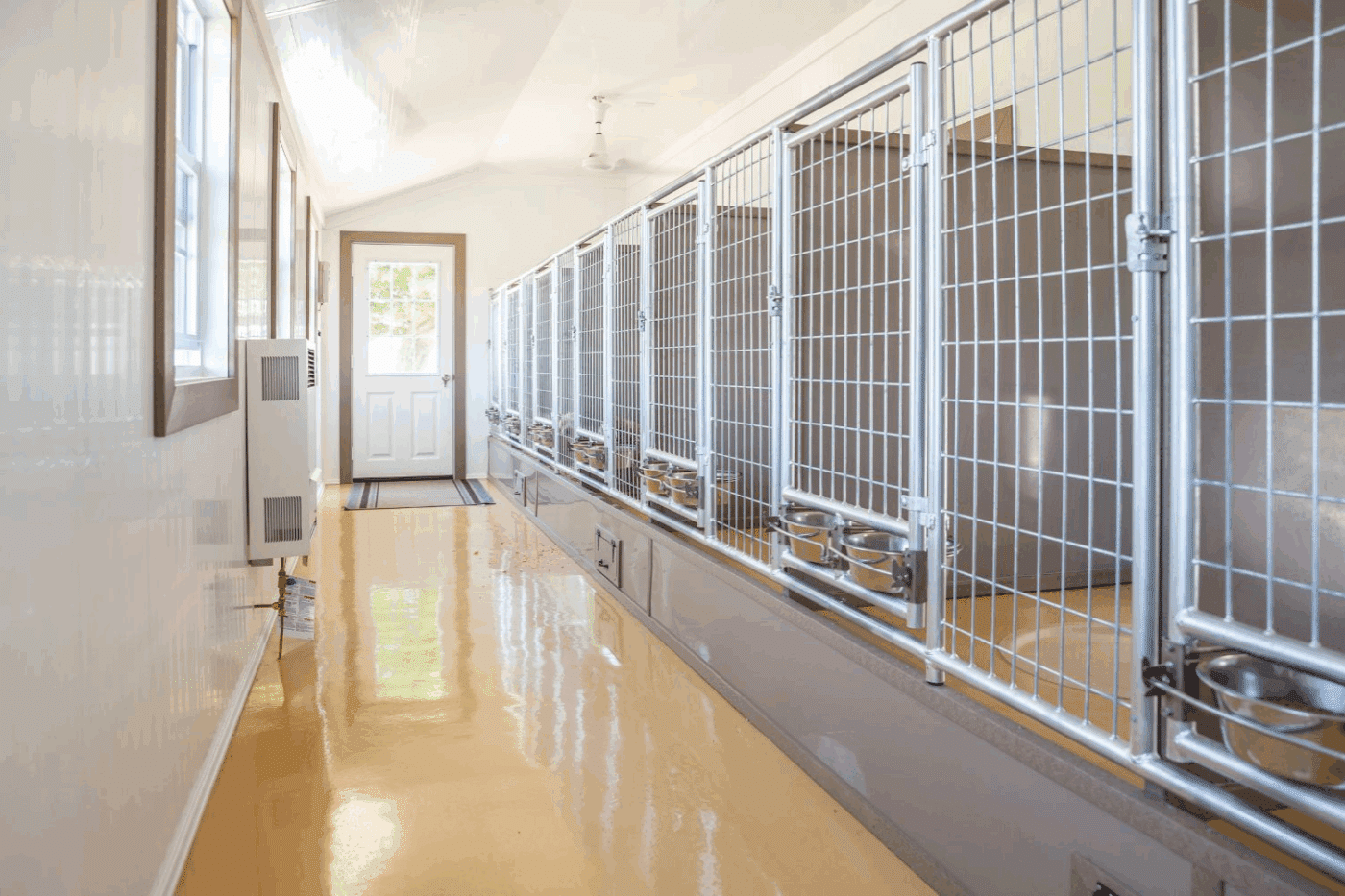 interior of dog kennel with dog bowls in california