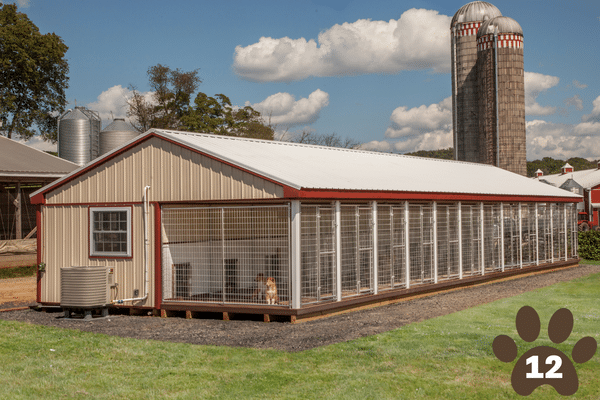 dog kennels for 12 dogs