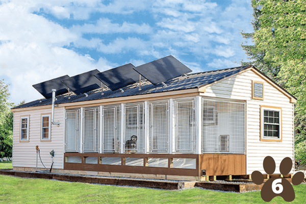 dog kennels for 6 dogs