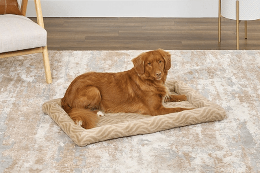dog laying on quiet time deluxe wave bed in