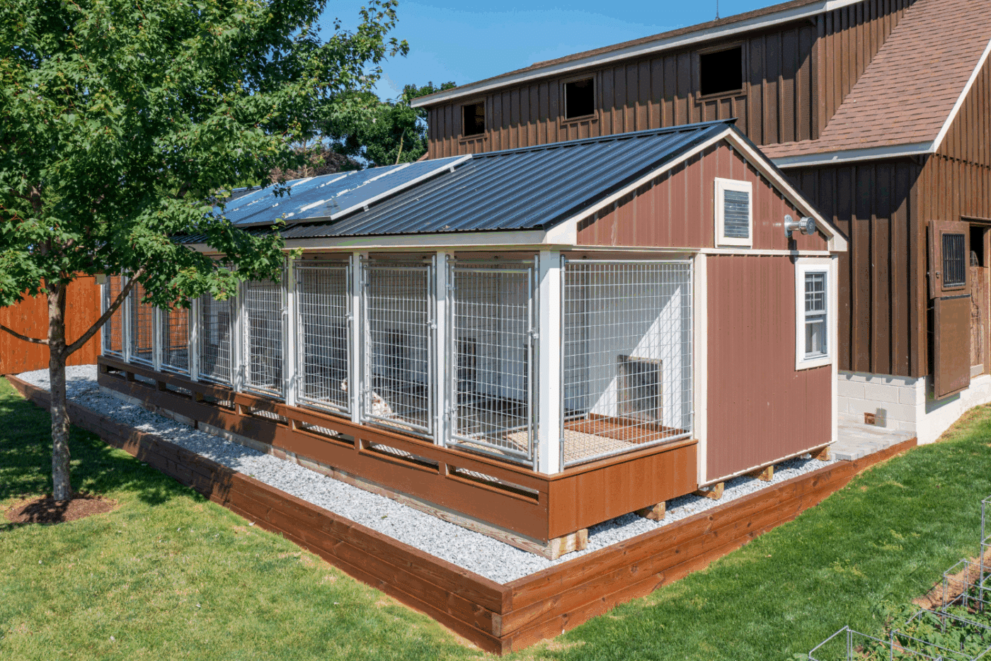 exterior of red dog kennel in california