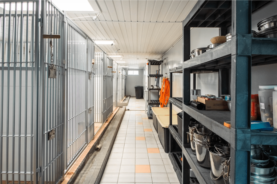 interior of commercial dog boarding facility with custom paneling