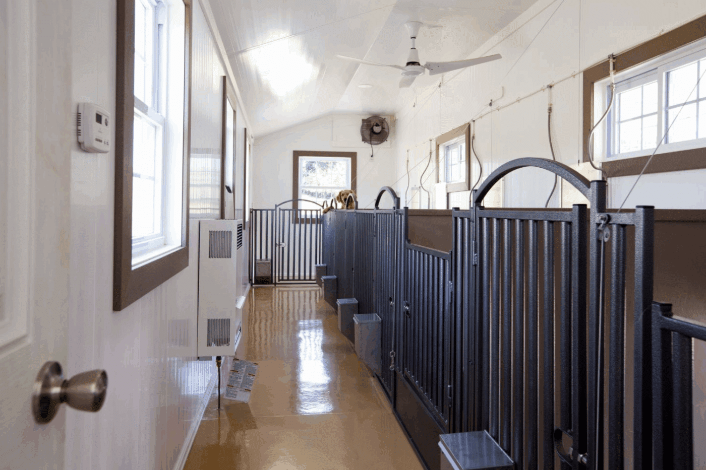 interior of dog kennel with dog in california