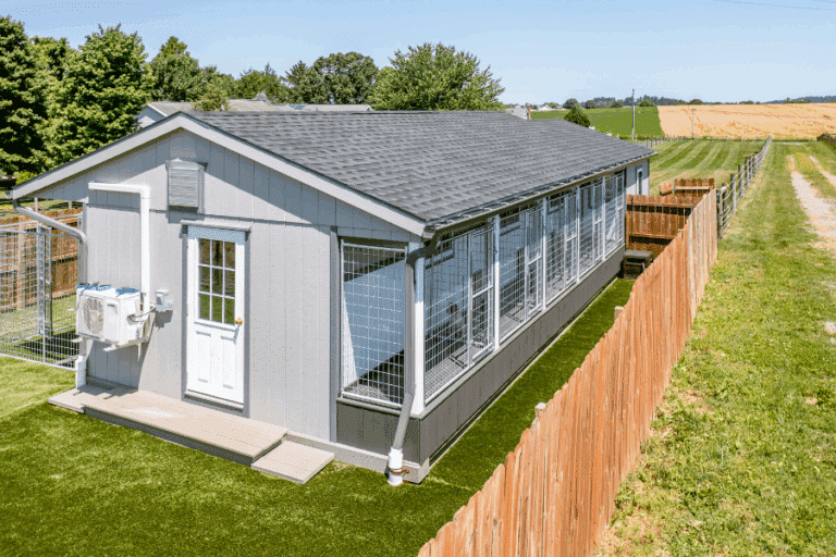 light and dark gray trimmed commercial dog kennel