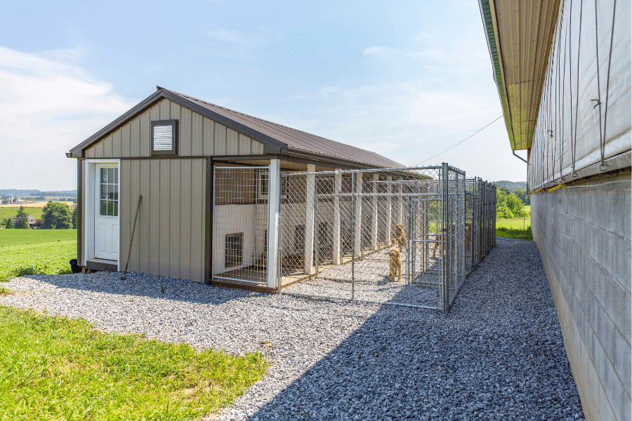 light brown and dark brown trimmed 14x36 commercial dog kennel with brown metal roof and 7 attached outdoor runs with dogs in them