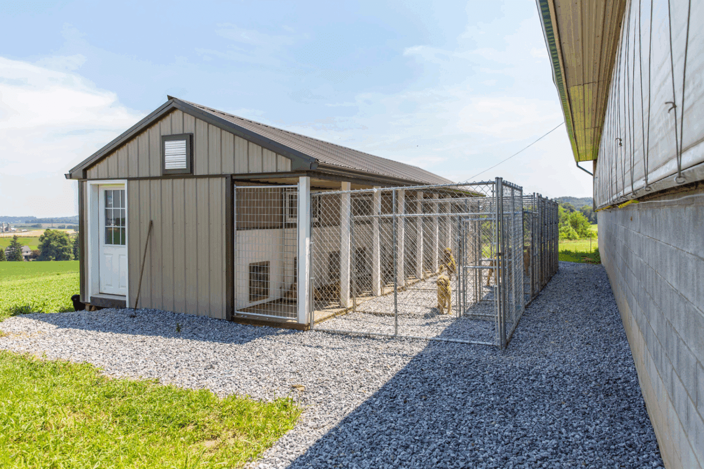 beige outdoor dog kennel with dogs in california