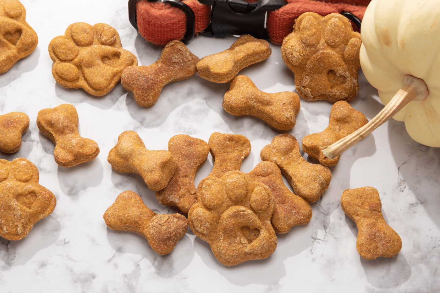 pumpkin and cheddar biscuits homemade dog treats