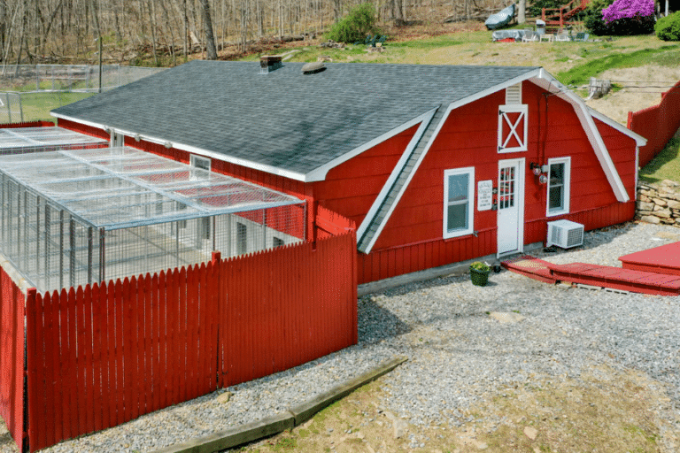red commercial dog kennel for boarding and grooming