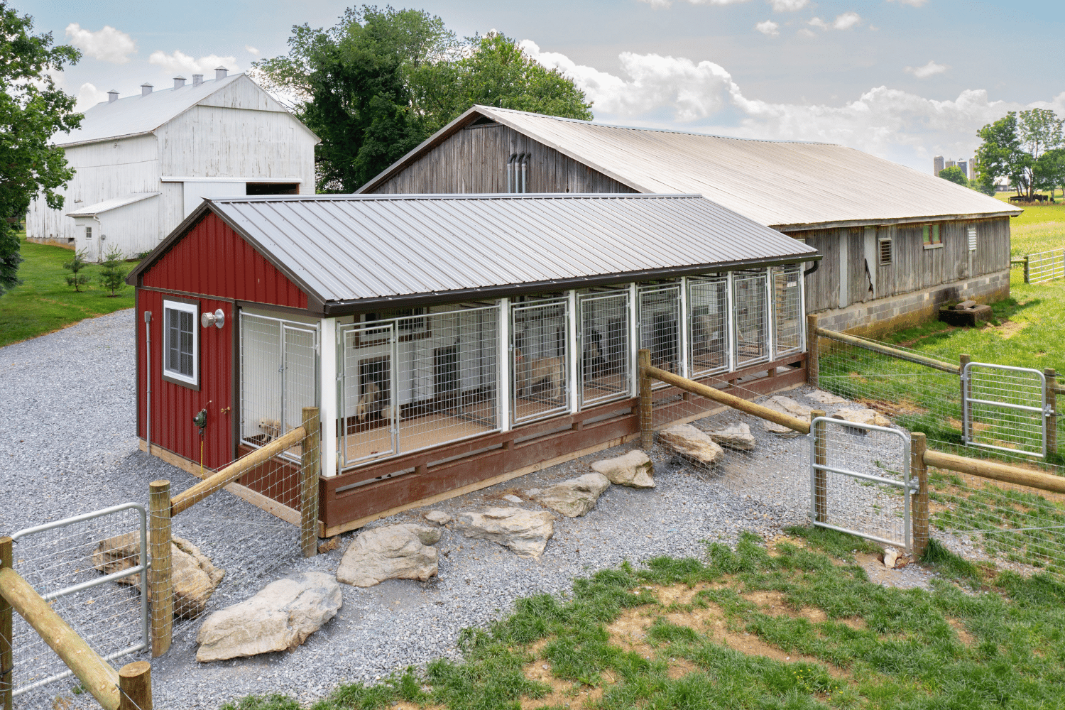 red commercial dog kennel with dogs inside in north carolina