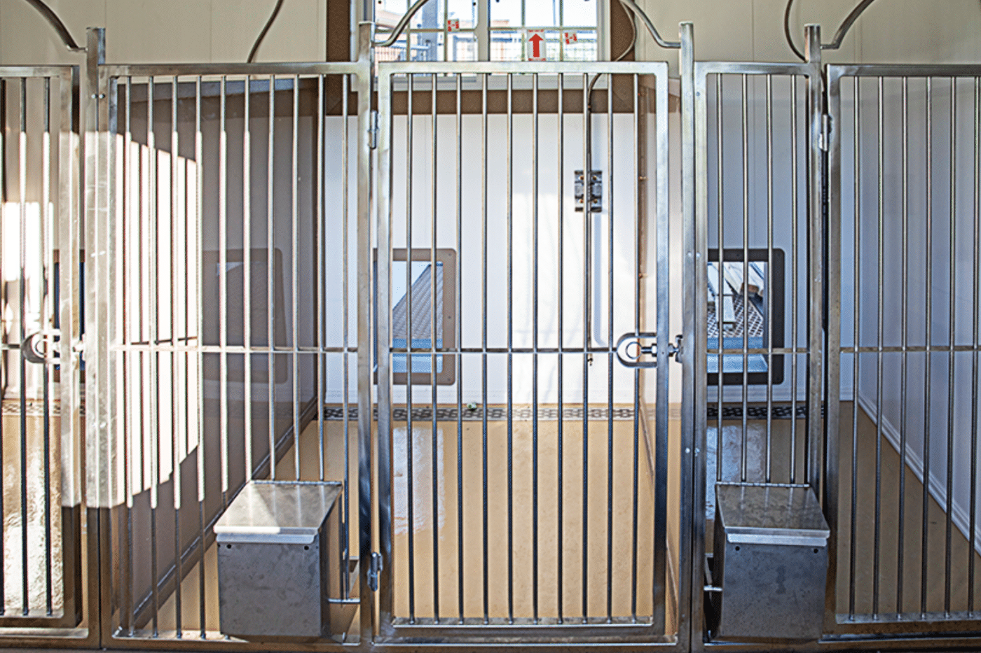 stainless steel fencing for dog kennel accessories