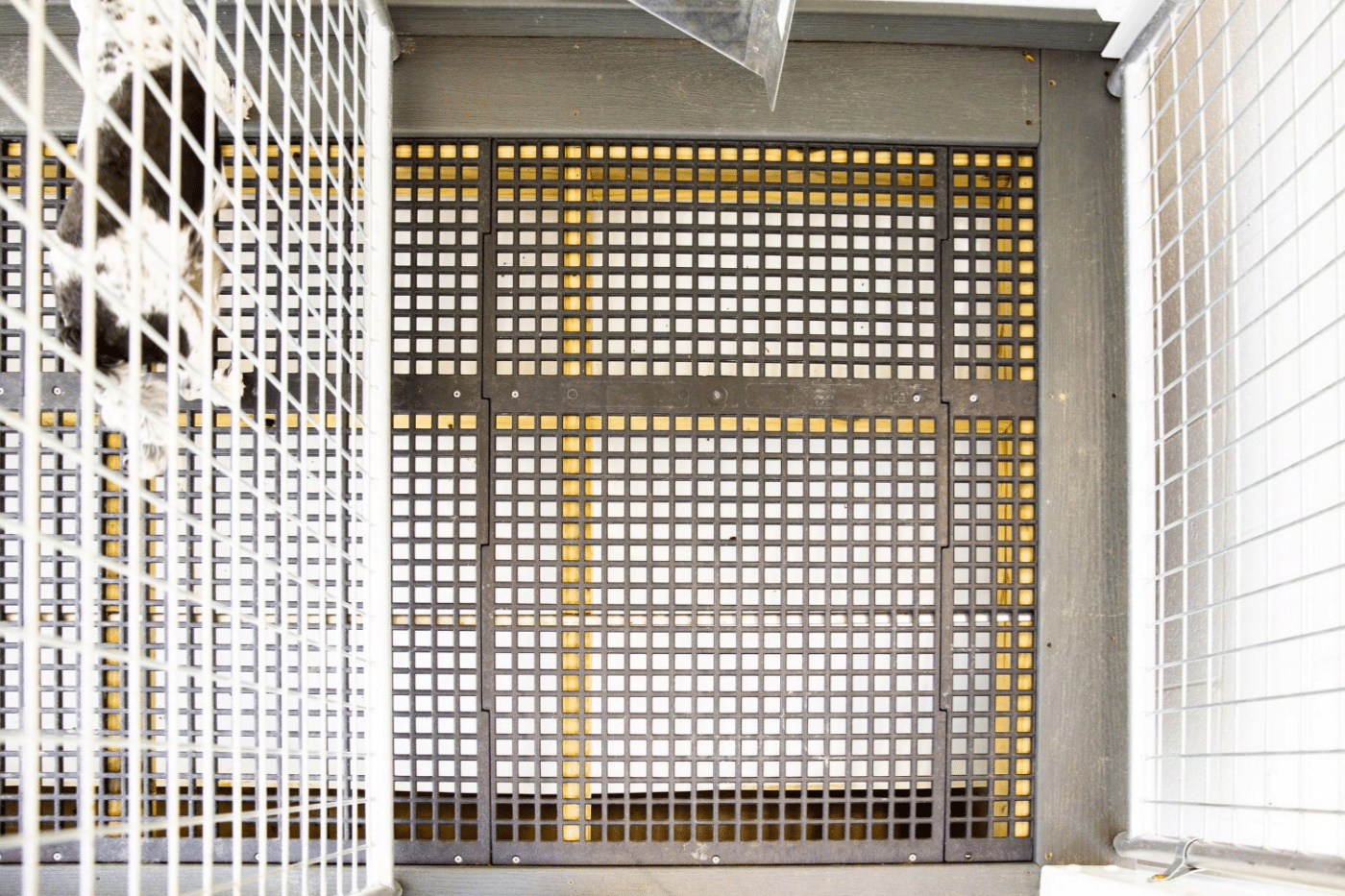 versapad flooring dog kennel accessories