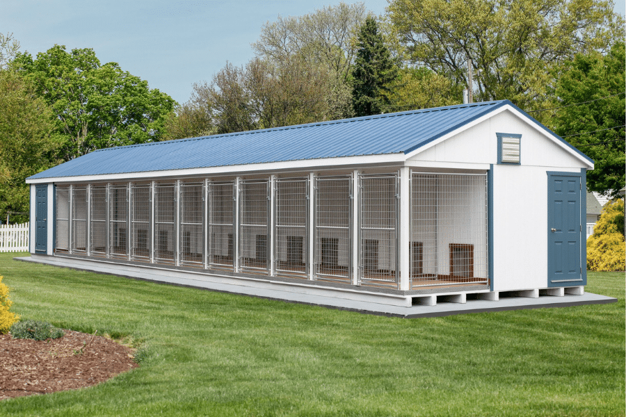 white and blue trimmed commercial kennel with blue metal roof and 12 outdoor runs